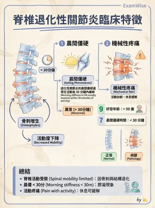 物治 - 腰椎椎間盤與脊椎狹窄 - AI 圖文解析預覽