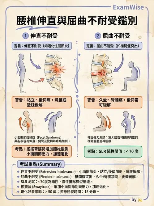 物治 - 腰椎椎間盤與脊椎狹窄 - AI 圖文解析預覽