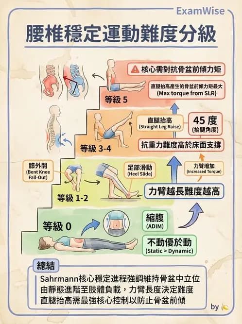物治 - 腰椎穩定訓練與治療原則 - AI 圖文解析預覽