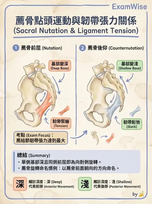 物治 - 薦髂關節評估與治療 - AI 圖文解析預覽