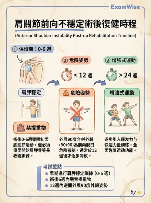 物治 - 肩關節不穩定與盂唇損傷 - AI 圖文解析預覽