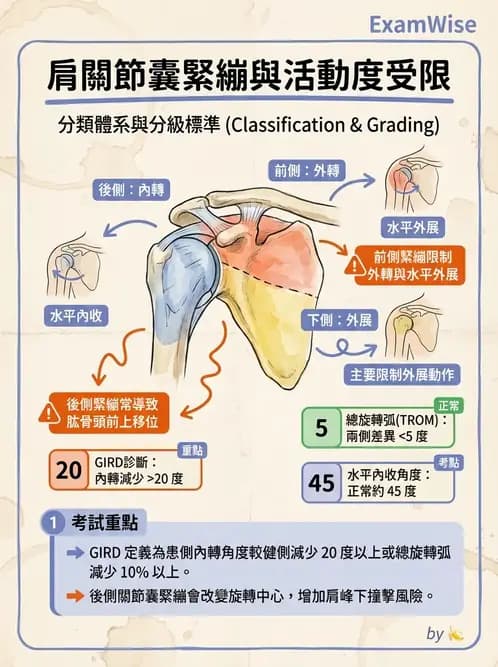 物治 - 冰凍肩與胸廓出口症候群 - AI 圖文解析預覽