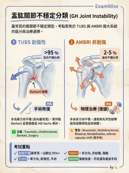 物治 - 肩關節不穩定與盂唇損傷 - AI 圖文解析預覽