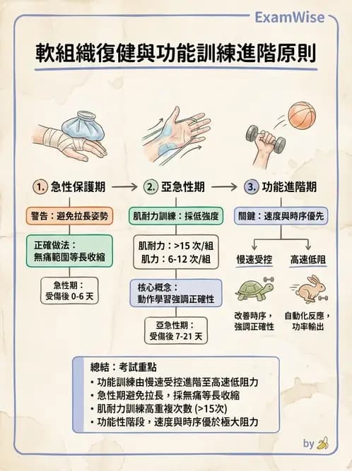 物治 - 腕關節疾病 - AI 圖文解析預覽