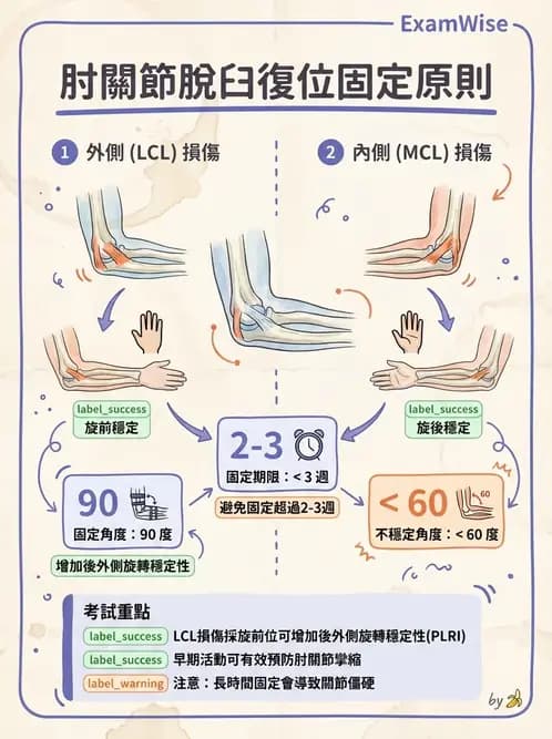 物治 - 肘及前臂關節 - AI 圖文解析預覽