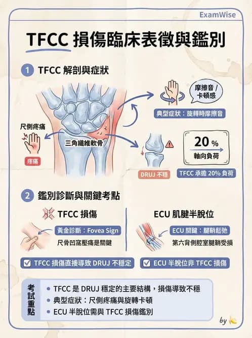 物治 - 腕關節疾病 - AI 圖文解析預覽