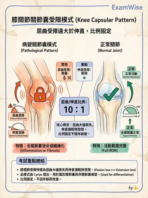 物治 - 膝關節生物力學與退化性疾病 - AI 圖文解析預覽