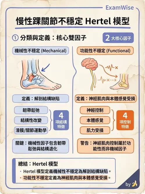 物治 - 踝關節損傷與復健 - AI 圖文解析預覽
