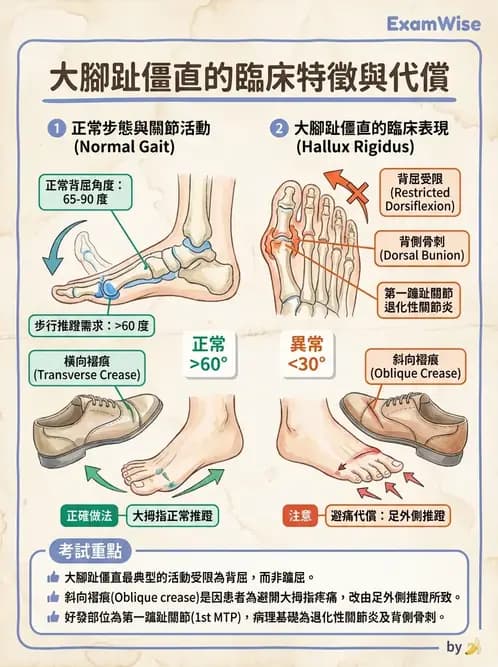 物治 - 足部病變與輔具評估 - AI 圖文解析預覽