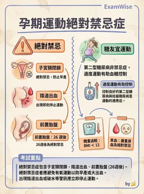 物治 - 女性健康 - AI 圖文解析預覽