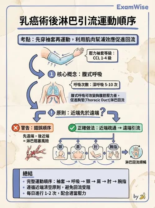 物治 - 皮膚與淋巴系統物理治療 - AI 圖文解析預覽