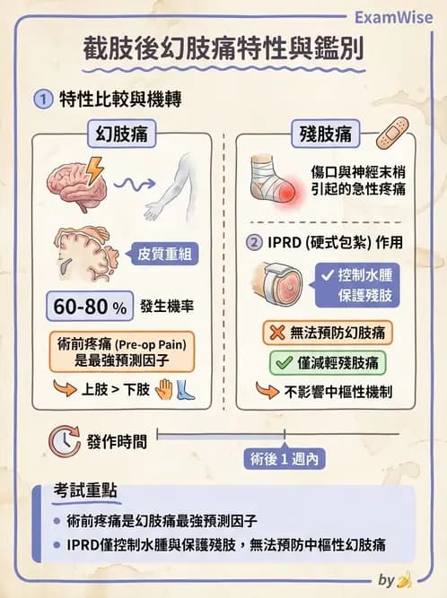 物治 - 截肢 - AI 圖文解析預覽