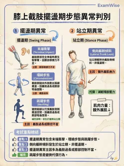 物治 - 截肢 - AI 圖文解析預覽