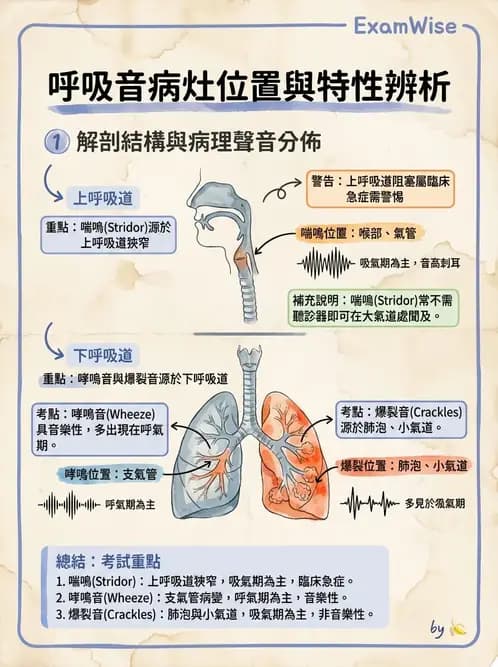 物治 - 呼吸臨床評估技術 - AI 圖文解析預覽
