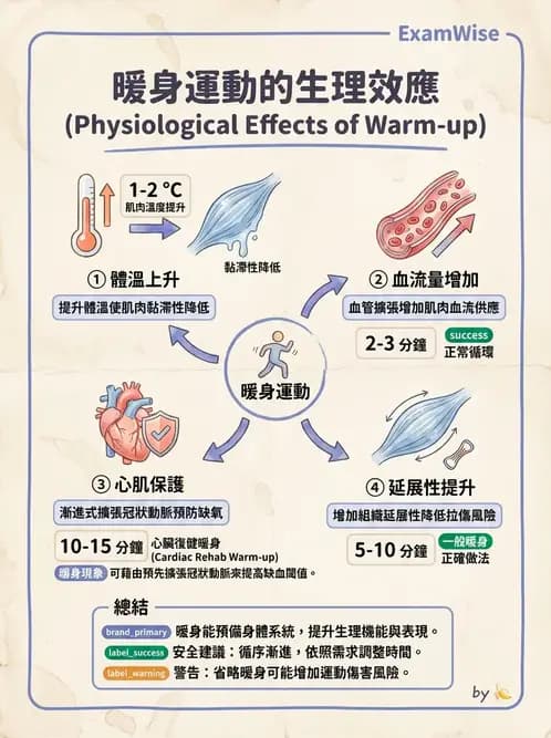 物治 - 運動生理學與能量代謝 - AI 圖文解析預覽