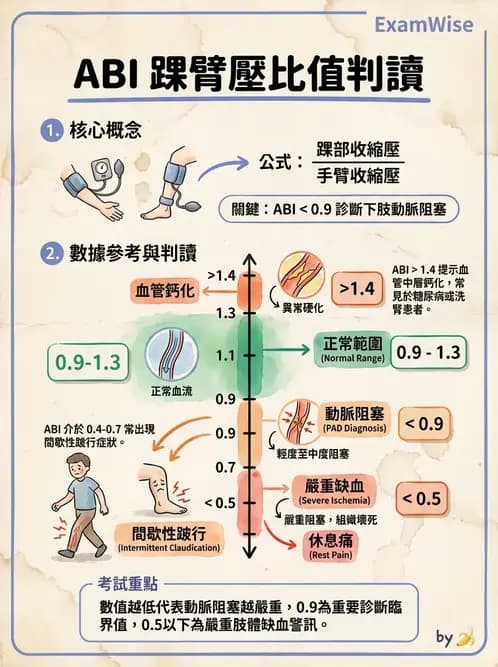物治 - 心臟藥物、輔助裝置與周邊血管 - AI 圖文解析預覽