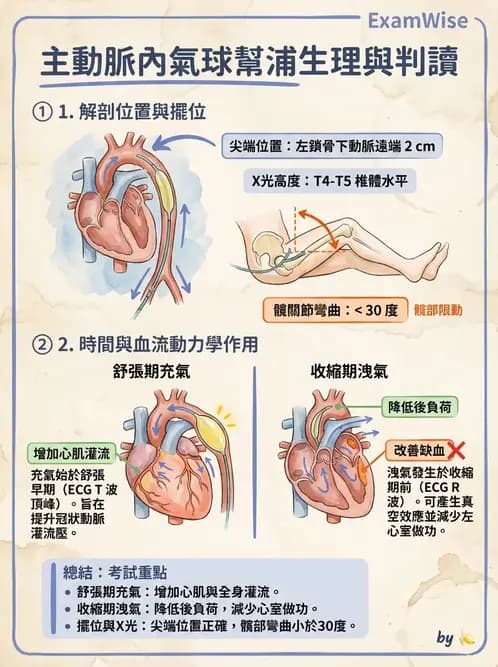物治 - 心臟藥物、輔助裝置與周邊血管 - AI 圖文解析預覽