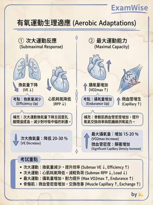 物治 - 運動生理學與能量代謝 - AI 圖文解析預覽