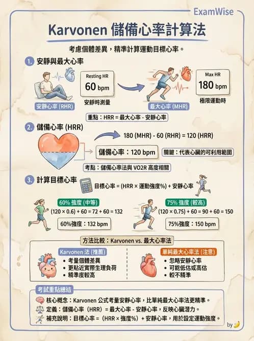 物治 - 運動篩檢與處方設計 - AI 圖文解析預覽