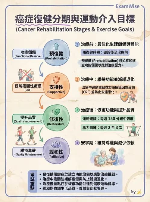 物治 - 癌症物理治療 - AI 圖文解析預覽