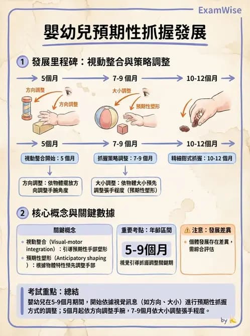 物治 - 兒童發展里程碑(動作與認知) - AI 圖文解析預覽