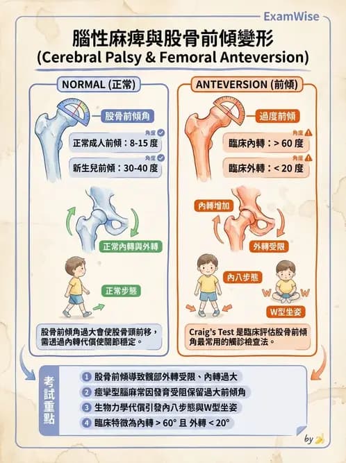 物治 - 腦性麻痺分類、評估與步態 - AI 圖文解析預覽