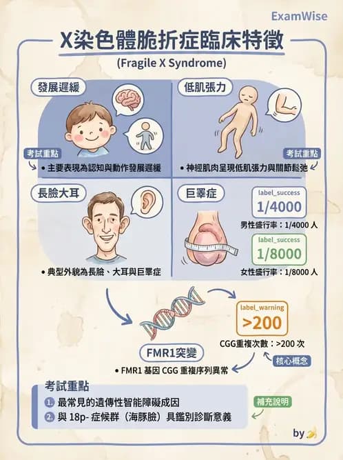 物治 - 智能障礙與基因症候群 - AI 圖文解析預覽