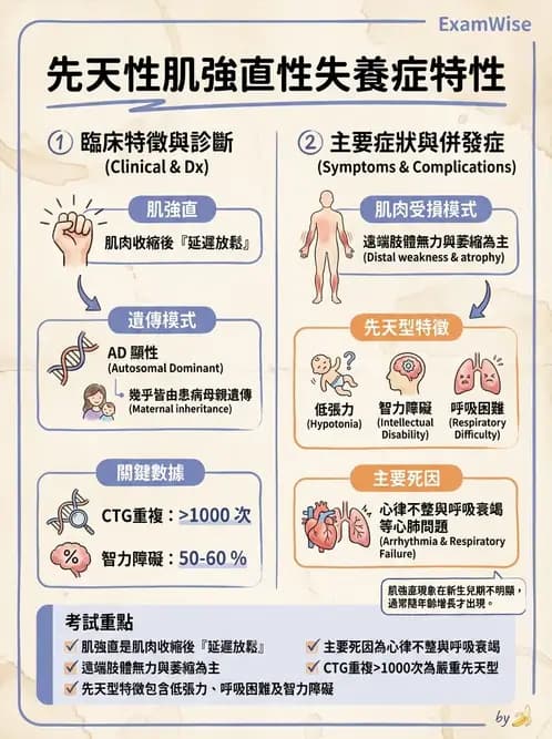物治 - 脊柱裂、神經肌肉疾病與腦傷 - AI 圖文解析預覽