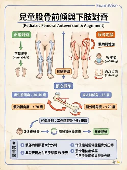 物治 - 小兒肌肉骨骼疾患物理治療 - AI 圖文解析預覽