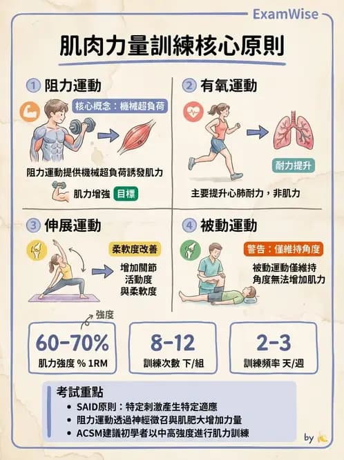物治 - 能量代謝與運動適應 - AI 圖文解析預覽