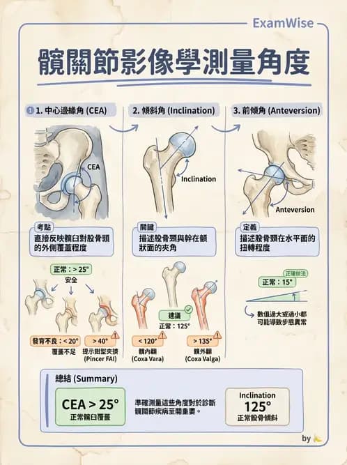 物治 - 髖關節肌動學與生物力學 - AI 圖文解析預覽
