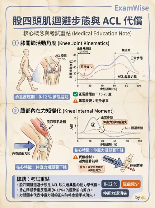 物治 - 異常步態與姿勢分析 - AI 圖文解析預覽