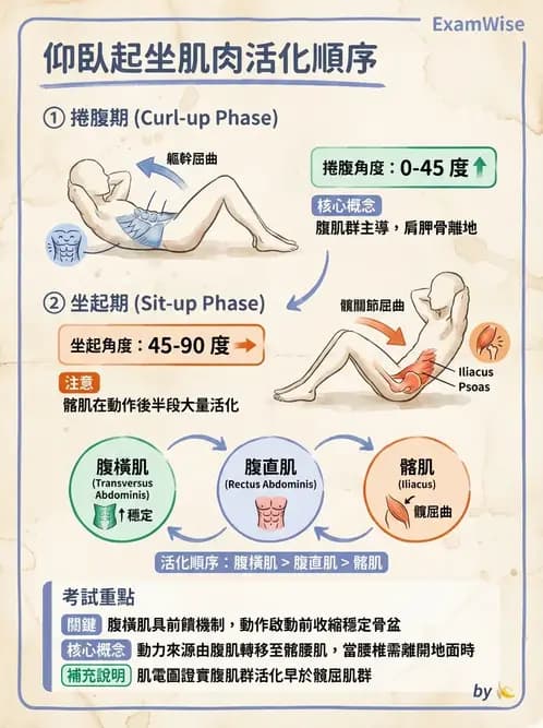 物治 - 軀幹肌動學與生物力學 - AI 圖文解析預覽