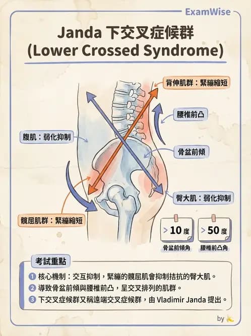 物治 - 異常步態與姿勢分析 - AI 圖文解析預覽