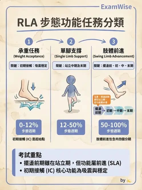 物治 - 步態週期與生物力學 - AI 圖文解析預覽