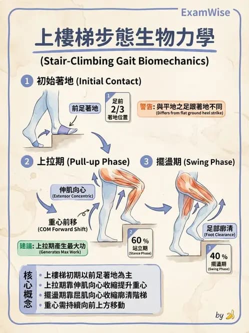 物治 - 日常功能動作與工效學 - AI 圖文解析預覽