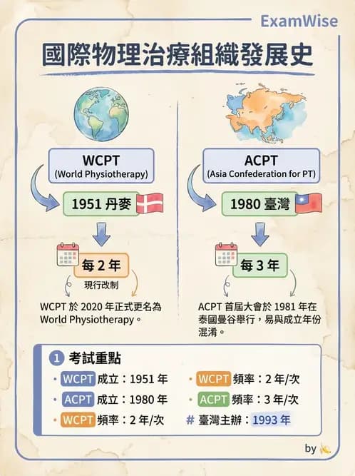 物治 - 專業組織與服務模式 - AI 圖文解析預覽