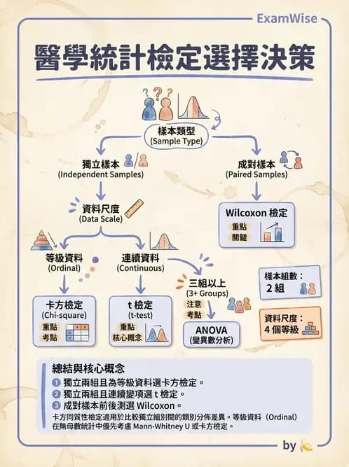 物治 - 統計檢定與分析方法 - AI 圖文解析預覽