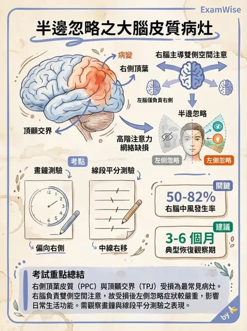 物治 - 腦血管疾病與腦外傷 - AI 圖文解析預覽