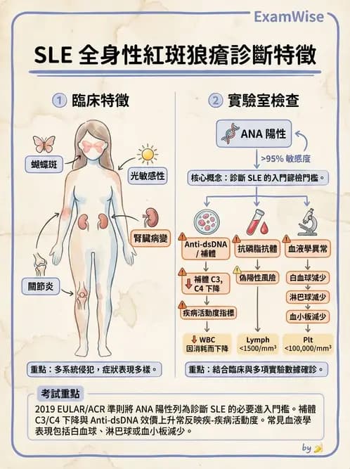 物治 - 內科疾病概論 - AI 圖文解析預覽