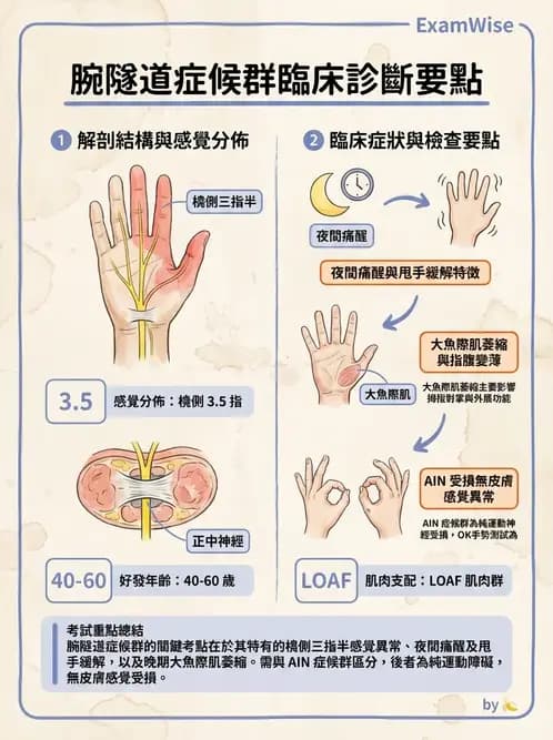 物治 - 骨科與外科疾病 - AI 圖文解析預覽