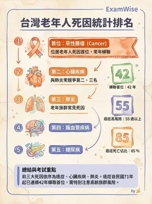 物治 - 健康政策與衛生行政 - AI 圖文解析預覽