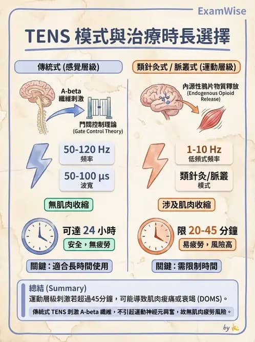 物治 - 經皮電刺激與電療基礎 - AI 圖文解析預覽