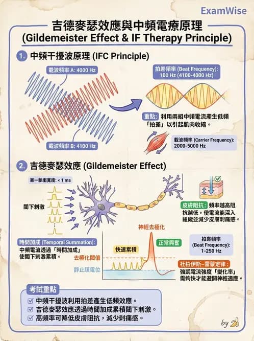 物治 - 中頻干擾波 - AI 圖文解析預覽