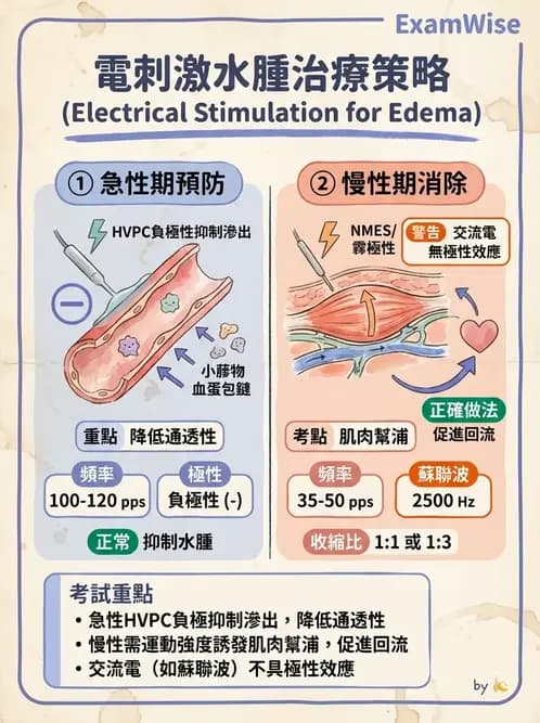 物治 - 高壓間歇直流電 - AI 圖文解析預覽