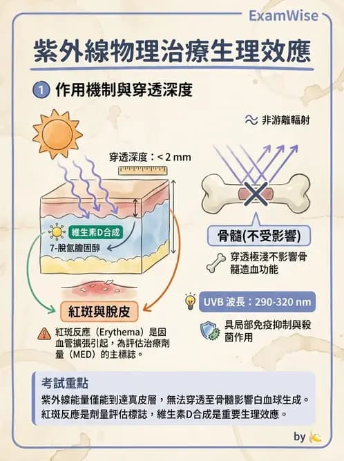 物治 - 紫外光 - AI 圖文解析預覽