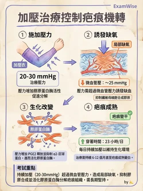 物治 - 力學因子 - AI 圖文解析預覽