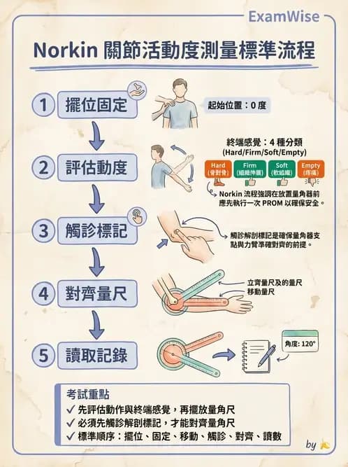 物治 - ROM通則與關節運動 - AI 圖文解析預覽