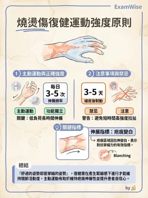 物治 - ROM通則與關節運動 - AI 圖文解析預覽