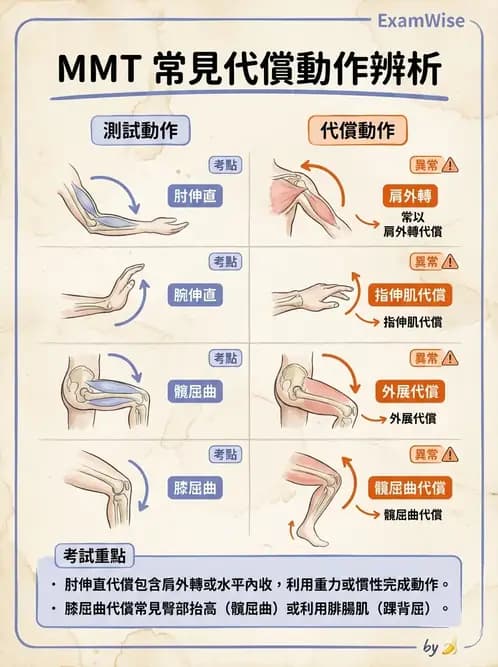 物治 - MMT通則、頭頸與軀幹 - AI 圖文解析預覽